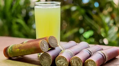 Wyciskarki soku – zdrowie i smak w Twojej kuchni