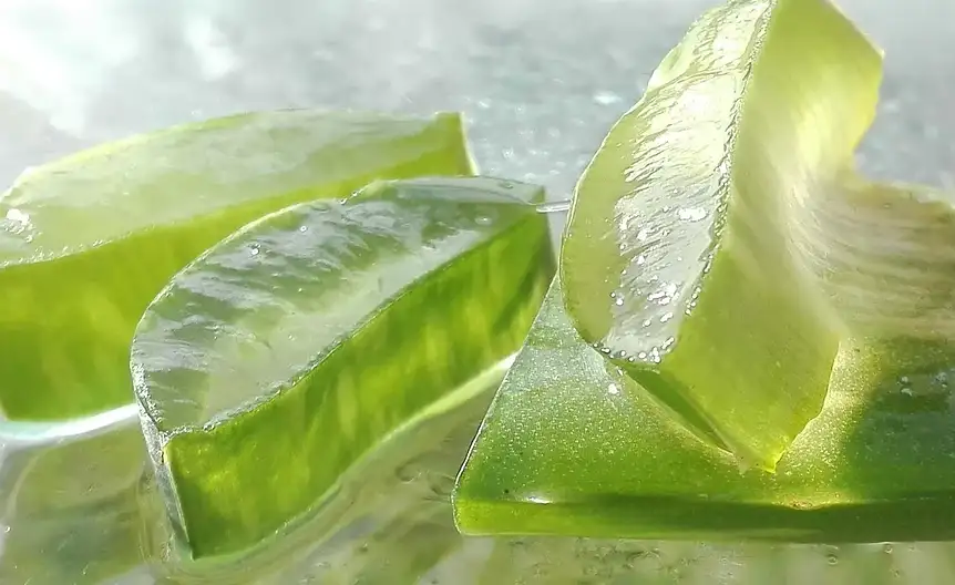 Antyperspiranty aloes