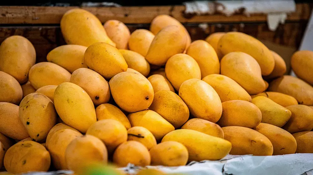 Suplementy z mango afrykańskim - dlaczego warto?