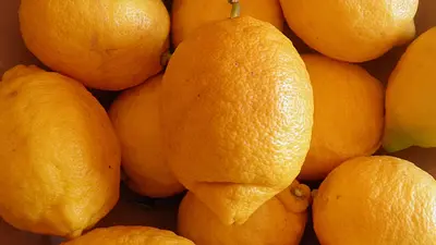 Jakie ryby jeść? Zdrowe ryby i te, których unikać